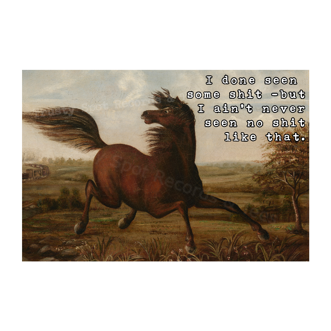 Horse Seen Shit Magnet