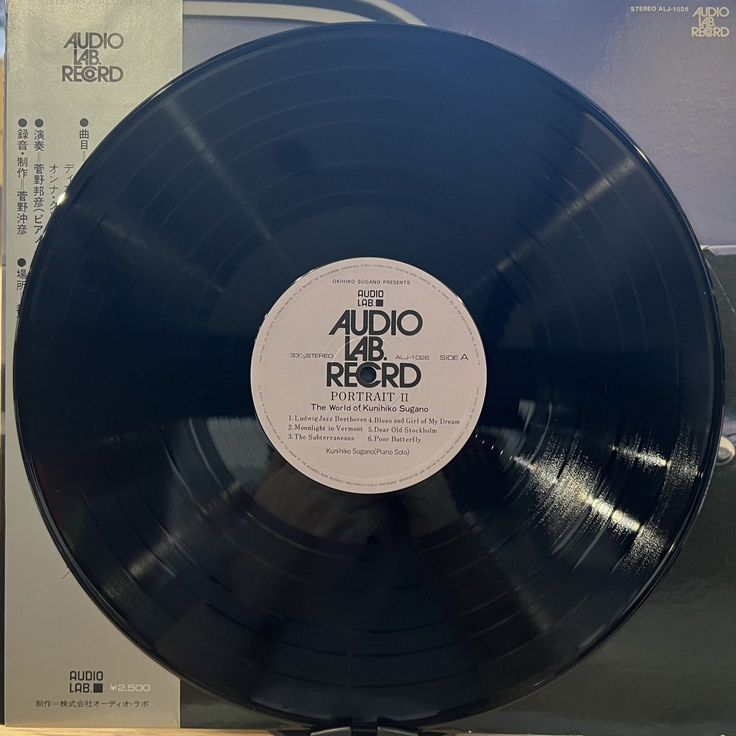 Kunihiko Sugano | Portrait II (Vinyl) (Used)