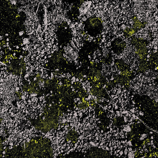 King Gizzard & The Lizard Wizard | Infest The Rats Nest (Live at Red Rocks 2022) (Glow In The Dark Green Vinyl)