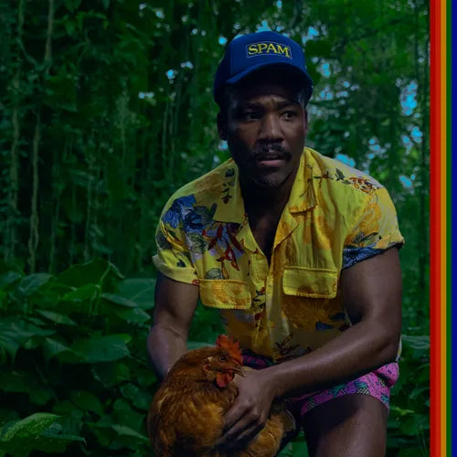 Childish Gambino | Bando Stone and the New World (2 LP)