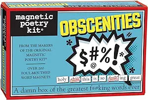 'Obscenities' Magnetic Poetry Kit