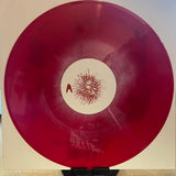 Daisyhead / Have Mercy | Split (12" Red/Cream Haze w/ Screened B-Side Vinyl) (Used)