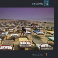 Pink Floyd | A Momentary Lapse Of Reason (180g Vinyl)