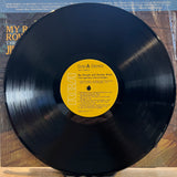 Jimmie Rodgers | My Rough And Rowdy Ways (Vinyl) (Used)