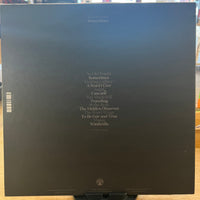 Goldmund | Sometimes (Vinyl) (Used)