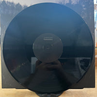 Goldmund | Sometimes (Vinyl) (Used)