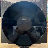 Goldmund | Sometimes (Vinyl) (Used)