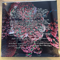 Bjork | Fossora (2 LP) (Vinyl) (Used)