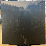 Goldmund | Sometimes (Vinyl) (Used)