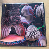 Bjork | Fossora (2 LP) (Vinyl) (Used)