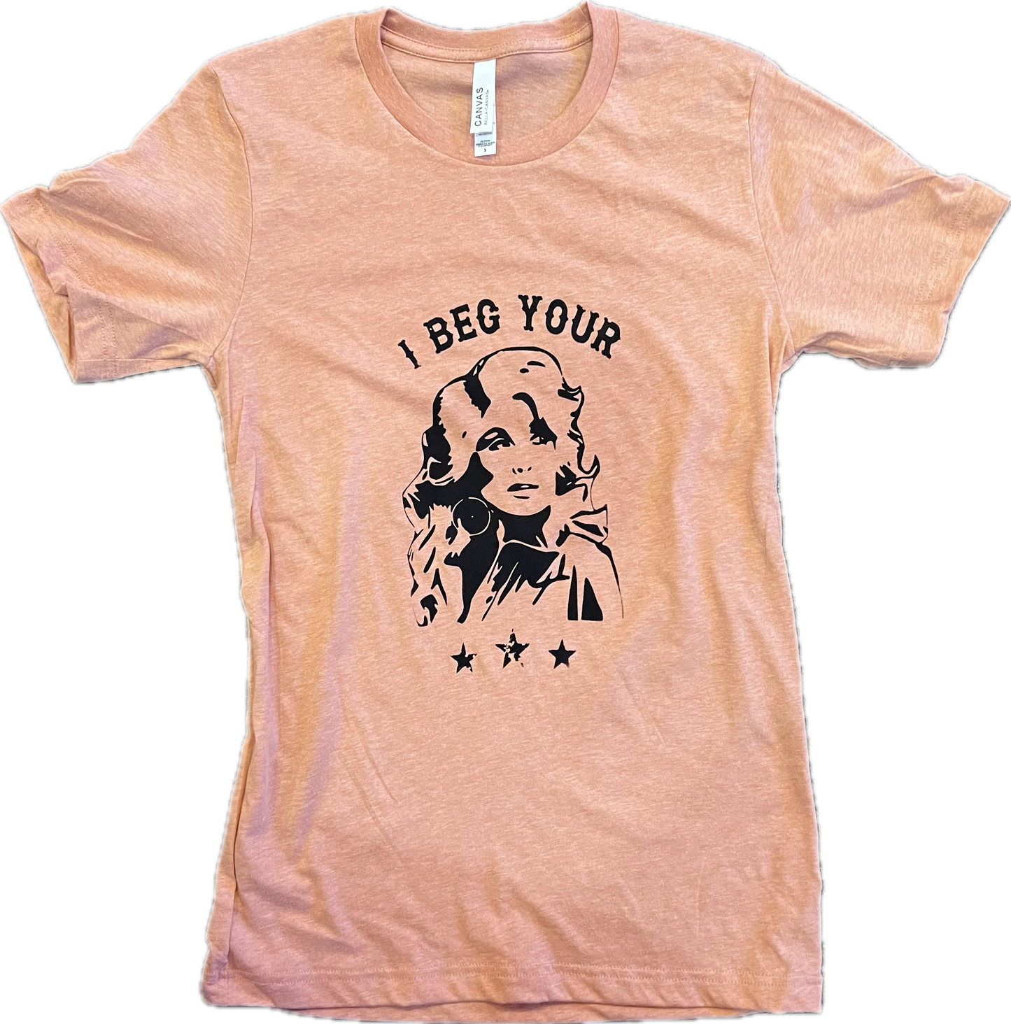 I Beg Your Parton T-Shirt