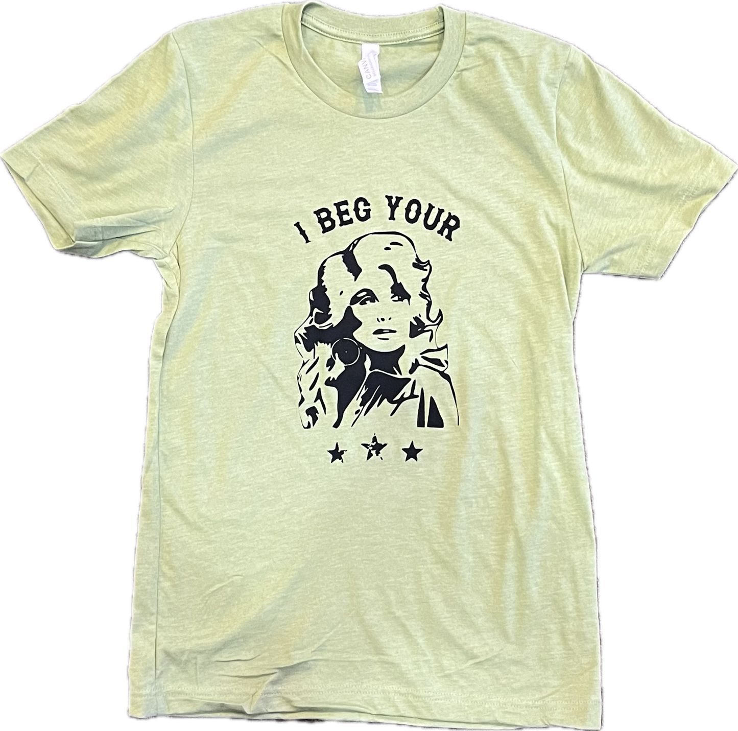 I Beg Your Parton T-Shirt