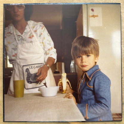 Sufjan Stevens | Carrie & Lowell (Vinyl) (Used)