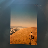 Berry | Blue Sky, Raging Sun (Vinyl) (Used)