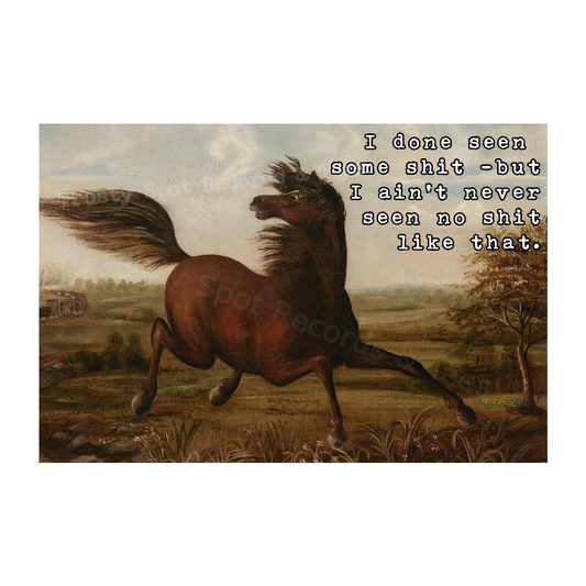 Horse Seen Shit Magnet