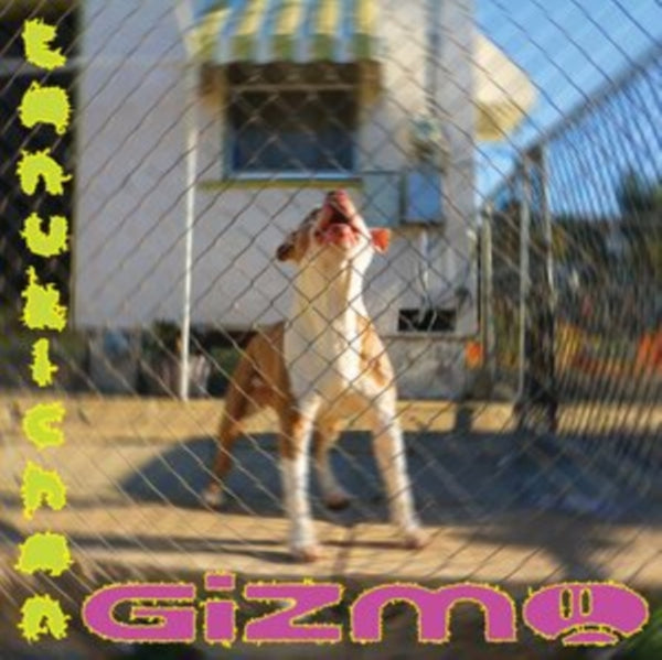 Tanukichan | Gizmo (Vinyl)