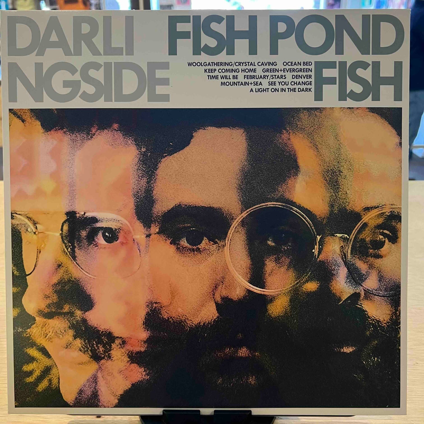 Darlingside | Fish Pond Fish (Pink Vinyl) (Used)