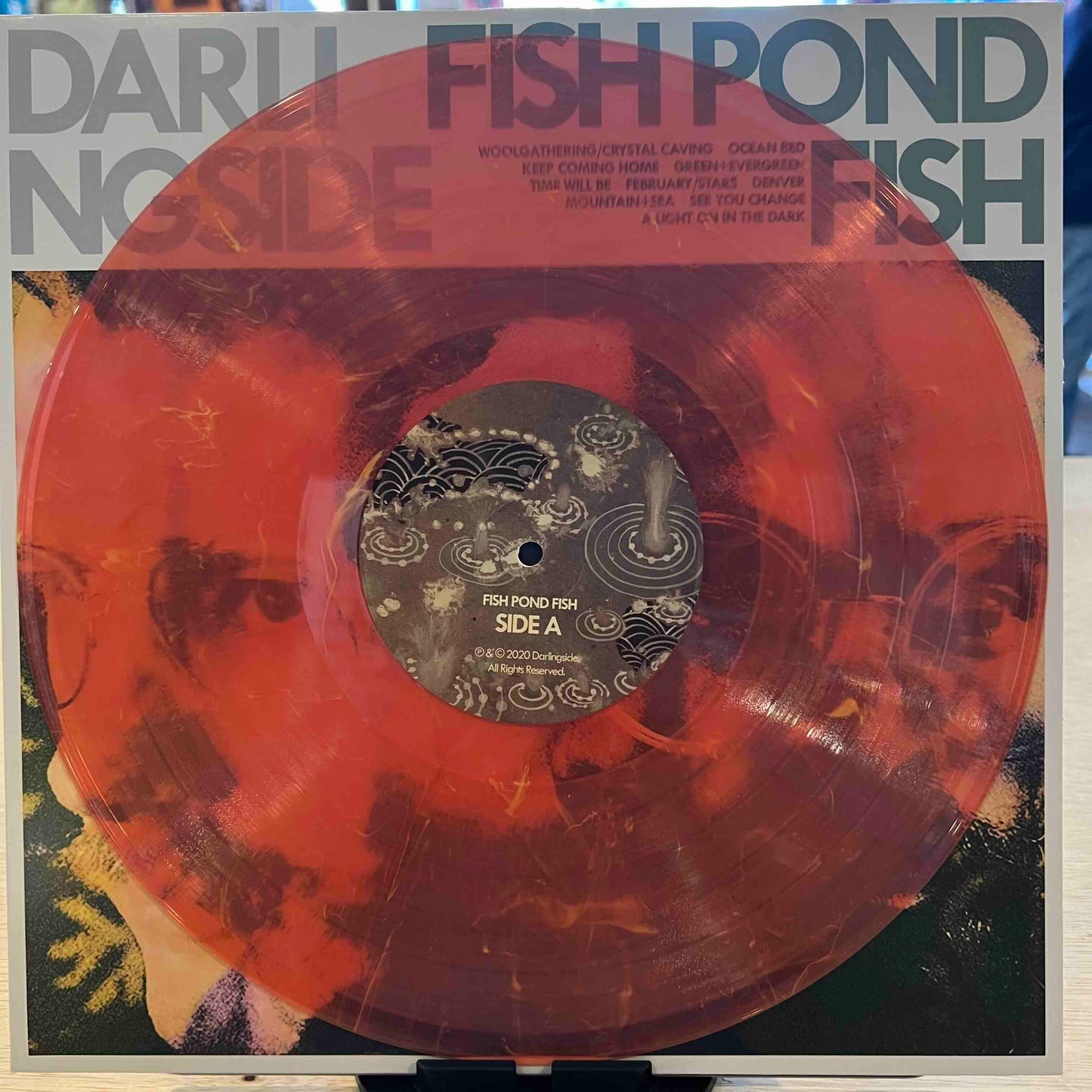 Darlingside | Fish Pond Fish (Pink Vinyl) (Used)