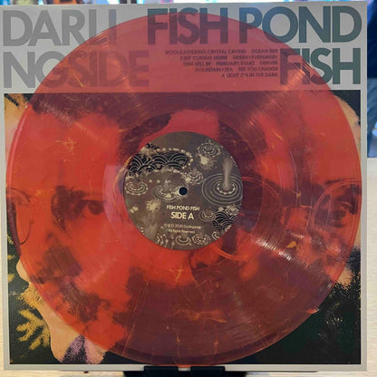 Darlingside | Fish Pond Fish (Pink Vinyl) (Used)
