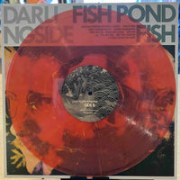 Darlingside | Fish Pond Fish (Pink Vinyl) (Used)