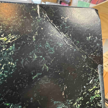 State Champs | The Finer Things (Red/White Vinyl) (Used)