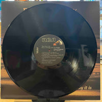 Bruce Hornsby | The Way It Is (Vinyl) (Used)