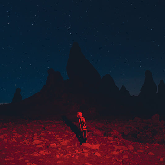 Phoebe Bridgers | Punisher (Vinyl)