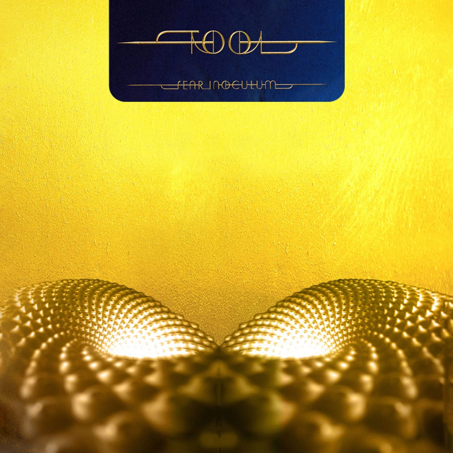 Tool | Fear Inoculum (3LP)