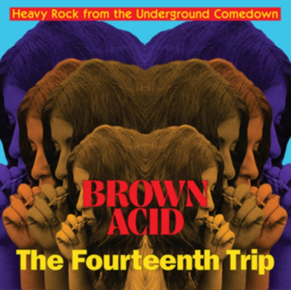 Various Artists | BROWN ACID - THE FOURTEENTH TRIP (Vinyl)
