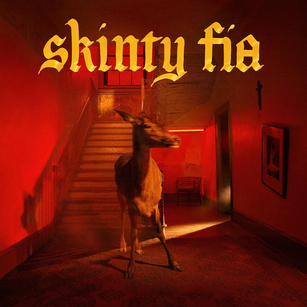 Fontaines D.C. | Skinny Fia (LP)