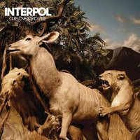 Interpol | Our Love To Admire (Vinyl)