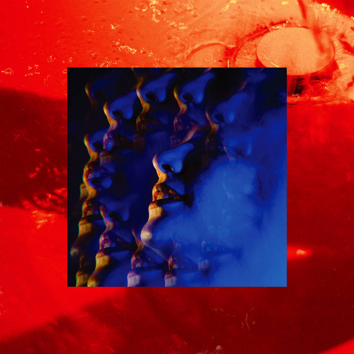 Little Hag | Leash (Vinyl)