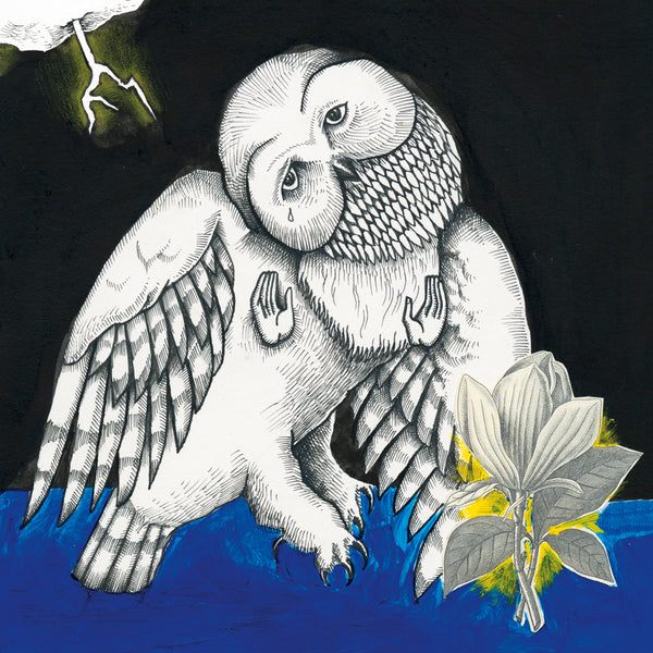 Songs: Ohia | Magnolia Electric Co. (10th Anniversary Deluxe Reissue) (2 LP)