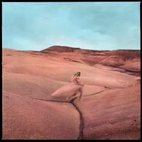 Margo Price | Strays (Vinyl)