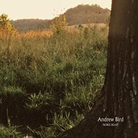 Andrew Bird | Noble Beast (Vinyl)